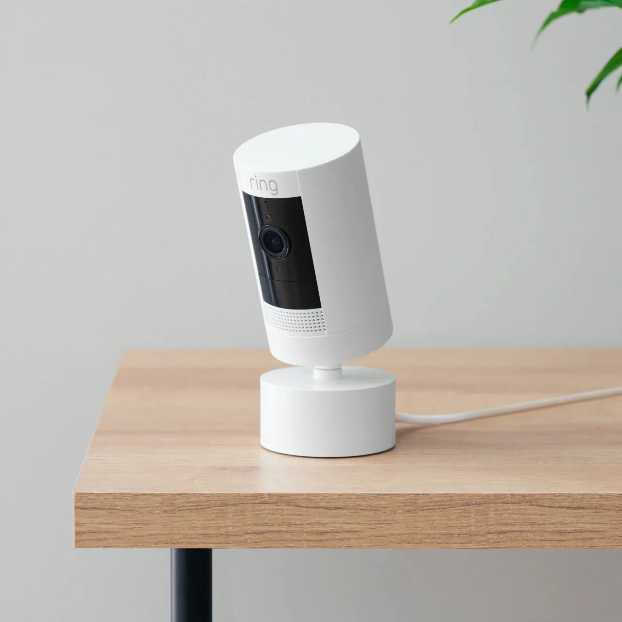 Indoor/Outdoor Pan-Tilt Mount - Image 3