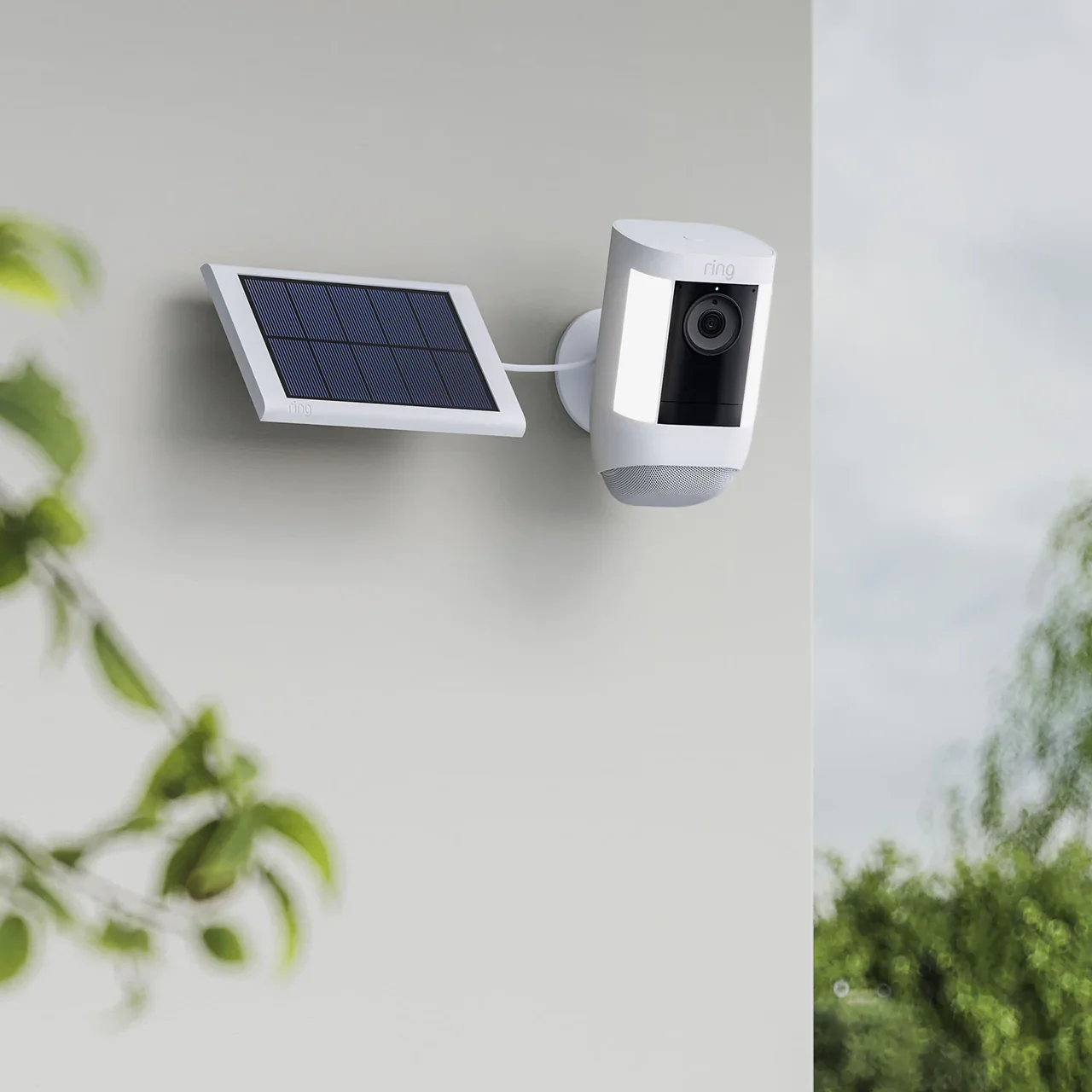 Small Solar Panel USB-C - Image 5